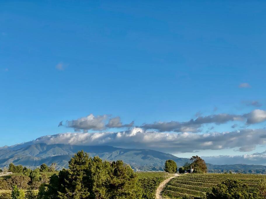 Que Syrah Temecula - Villa With 9 Bedroom 7 Ba With Spa In Wine Country Exteriör bild