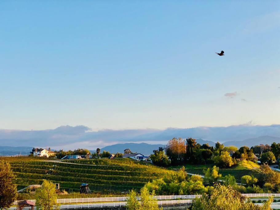Que Syrah Temecula - Villa With 9 Bedroom 7 Ba With Spa In Wine Country Exteriör bild