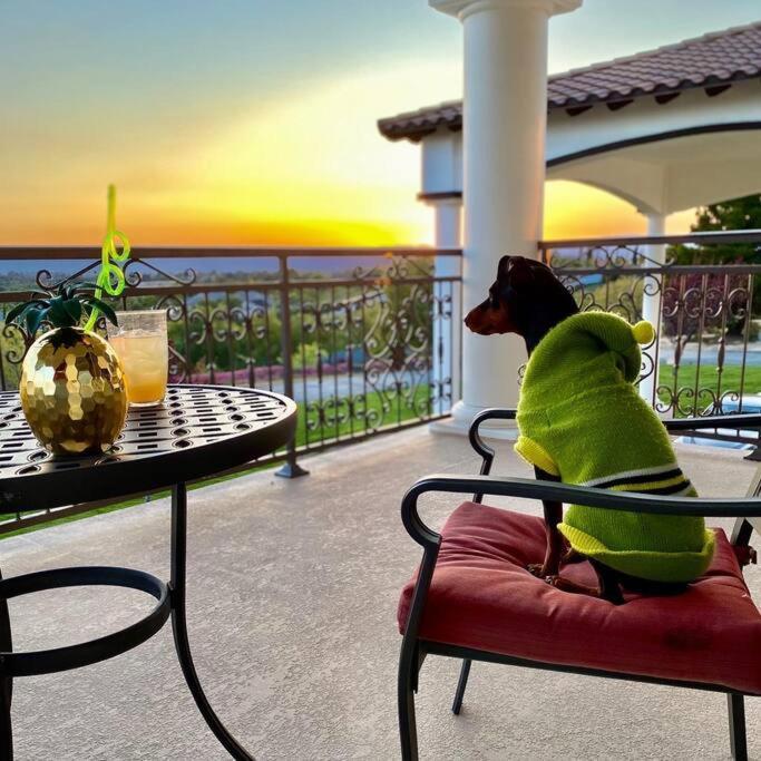 Que Syrah Temecula - Villa With 9 Bedroom 7 Ba With Spa In Wine Country Exteriör bild