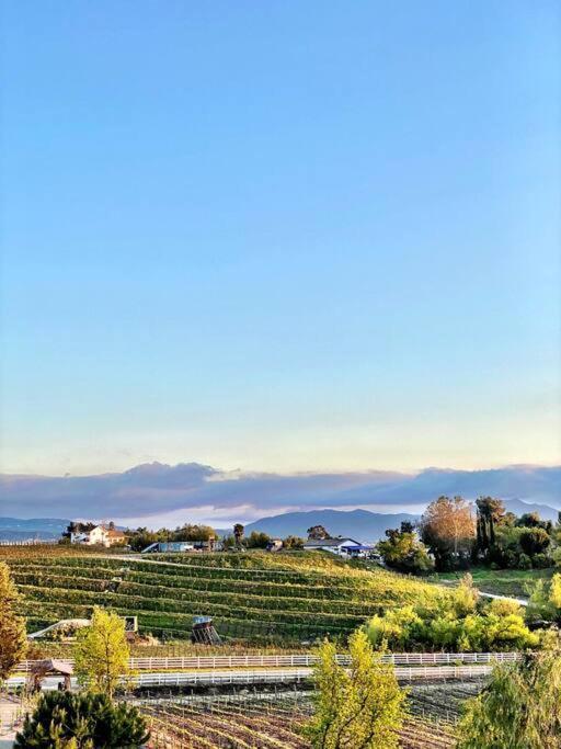 Que Syrah Temecula - Villa With 9 Bedroom 7 Ba With Spa In Wine Country Exteriör bild