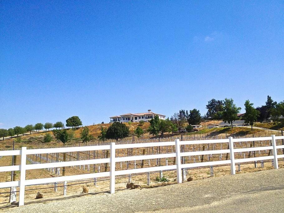 Que Syrah Temecula - Villa With 9 Bedroom 7 Ba With Spa In Wine Country Exteriör bild